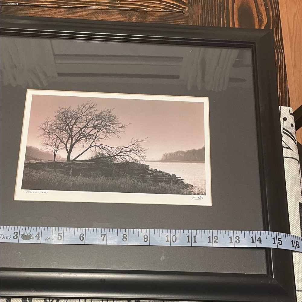Richard Calvo Riverview Professional Framed Black and White Tree Photograph - Picture 7 of 10